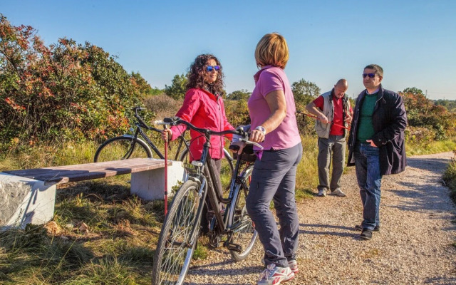 Agriturismo Alture di Polazzo