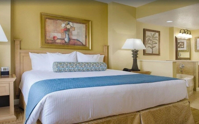 Ocean Boulevard 1BD DLX