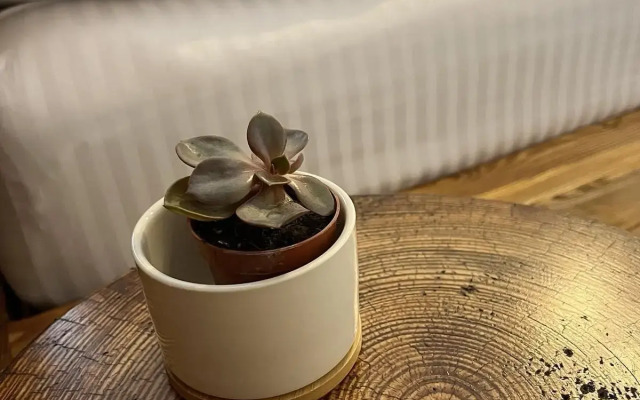 Усадьба Рог