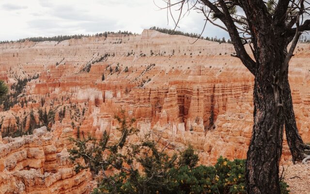 The Cottages At Bryce Canyon