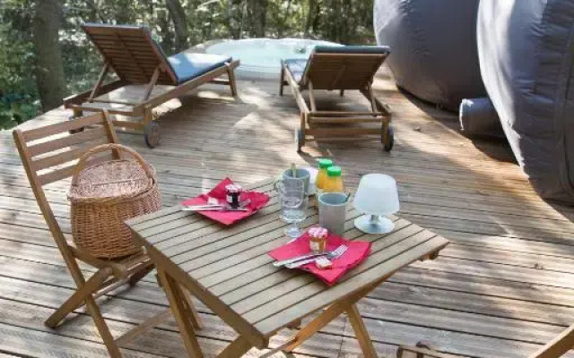 Chrysalide Saint Martin