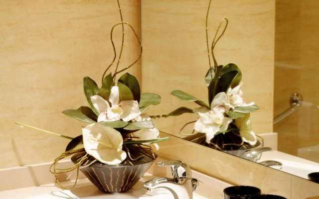 Hotel Moliceiro