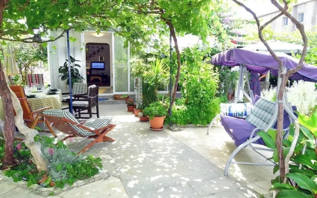 Zeljko - With Nice Garden - H