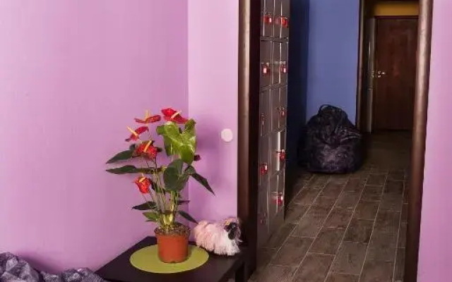 Hostel Orion