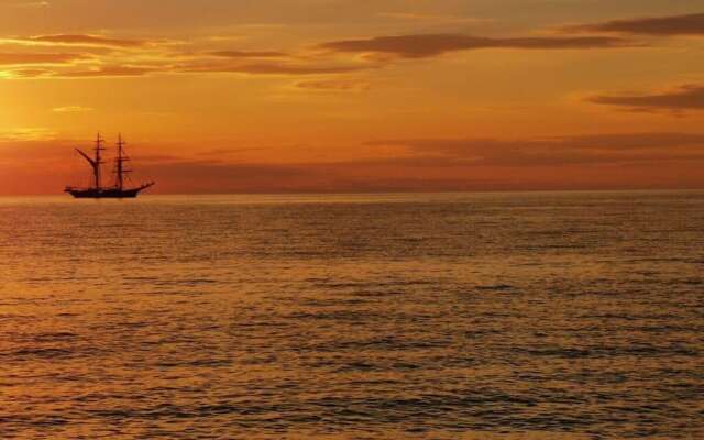 Red Beech Modern Retreat