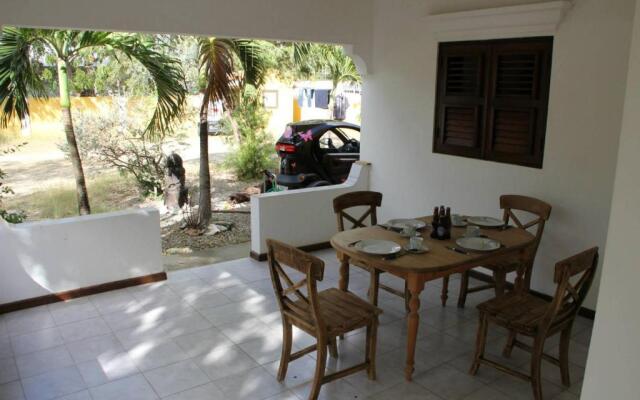 Roadrunner-Bonaire