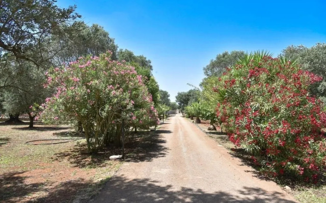 Villa Calipso