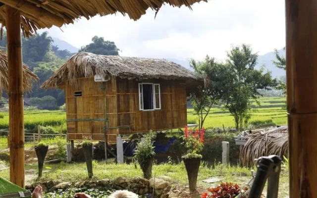 Golden Rice Garden Sapa
