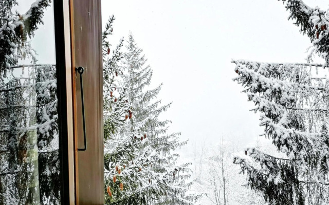 Hôtel Les Flocons