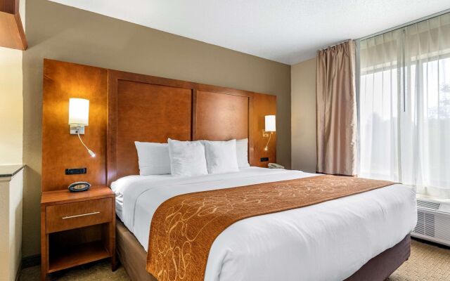 Comfort Suites Grand Rapids North