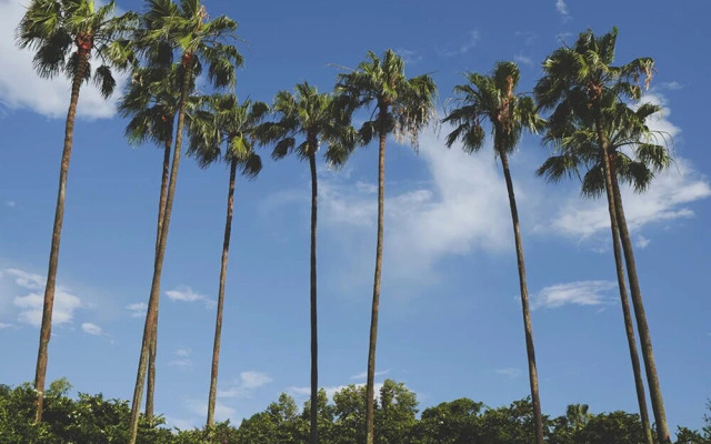Villa in Windsor Palms Resort 1433
