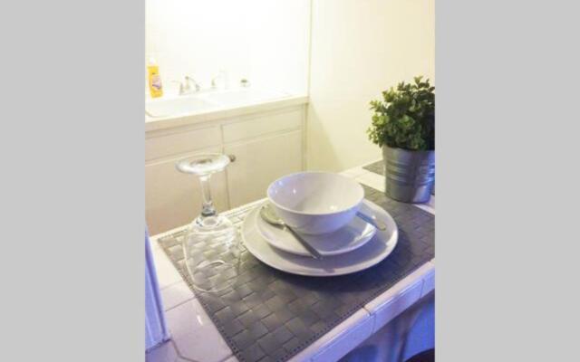 Downtown 1 Bedroom Apt 20L