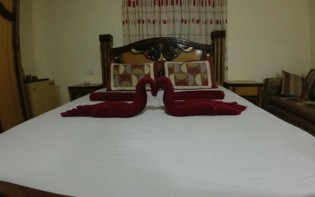 Petra Antique House