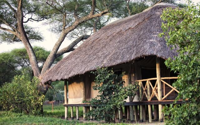 Tarangire River Camp, Mbali Mbali Lodges and Camps