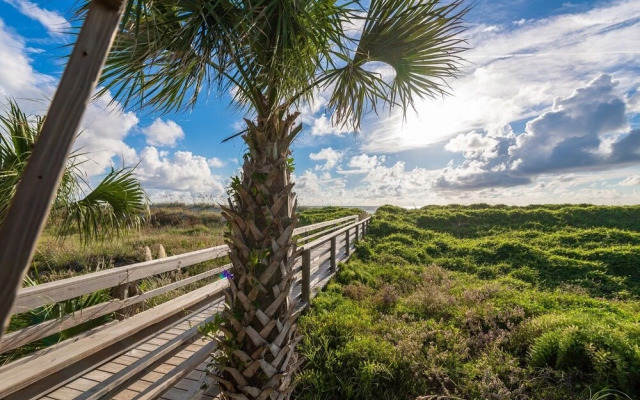 Ocean 11 - 2 Br Condo