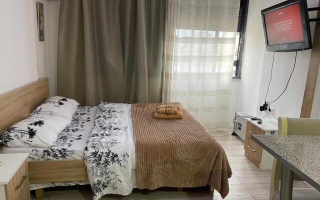 Downtown Modern Studio Apartment
