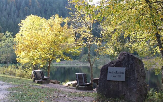 Picturesque Apartment in Baiersbronn With Bar