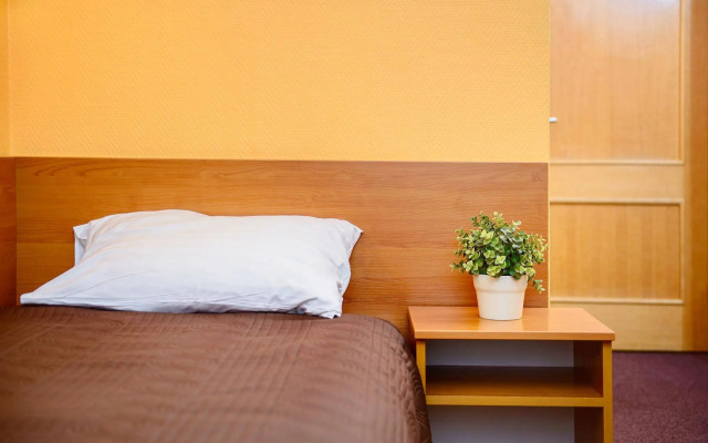 Hotel Zemaites