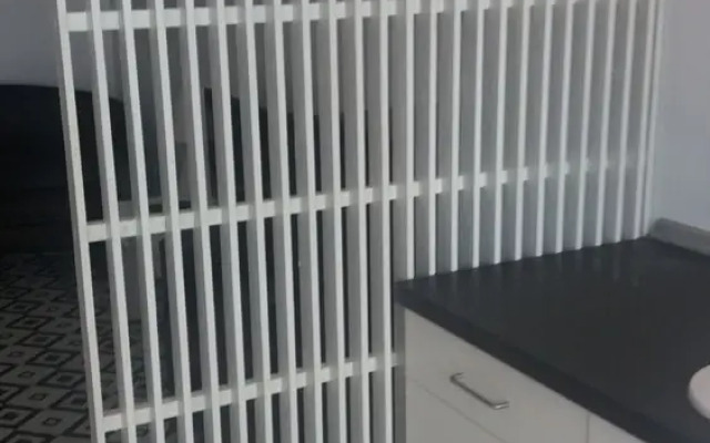 Sunrise Studio Zebra