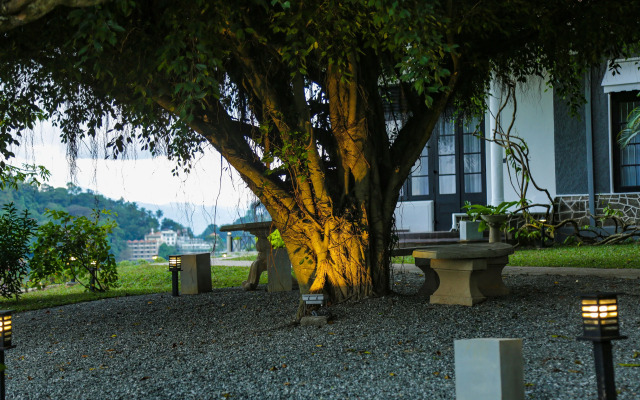 Castle Hill Bungalow