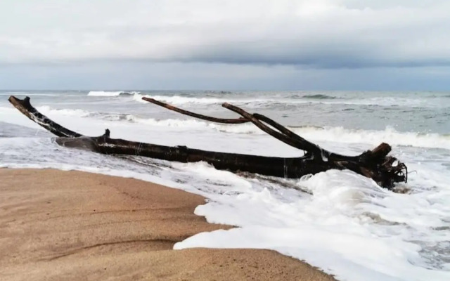 The Tropical Hut Lodges
