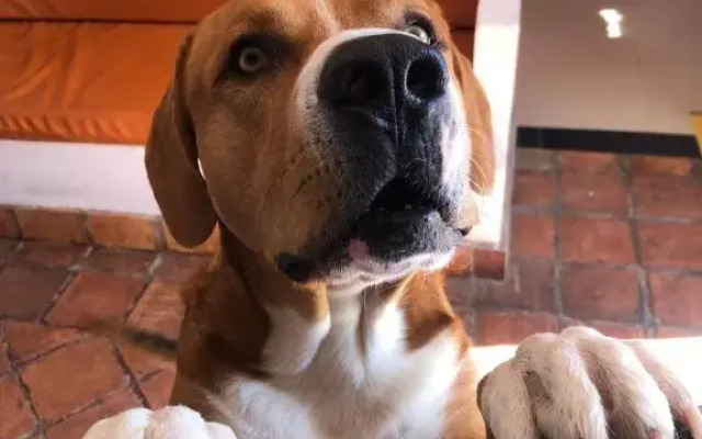 Hotel Calle Principal