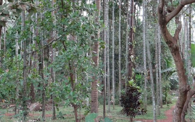 Dudhsagar Plantation