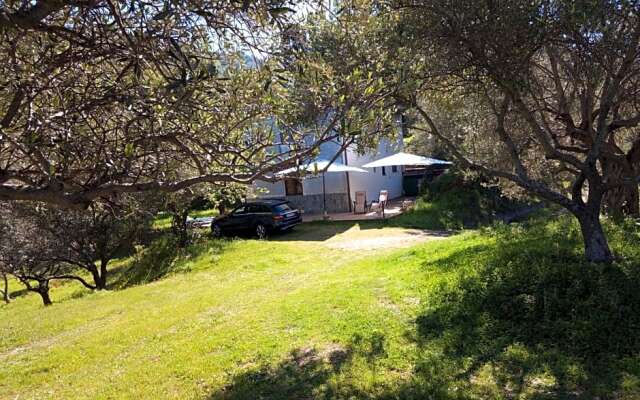 L'antica Quercia B&B