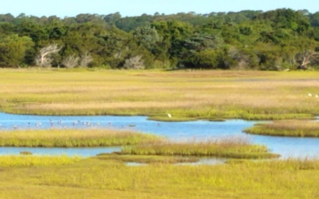 The White - 3 Br Home