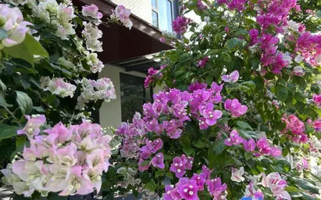 Xishe No.1 Homestay
