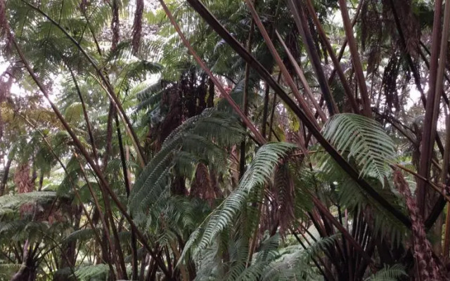 Ekomomai Vacation Rental