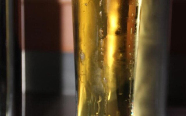 Gasthaus zum Brandtner