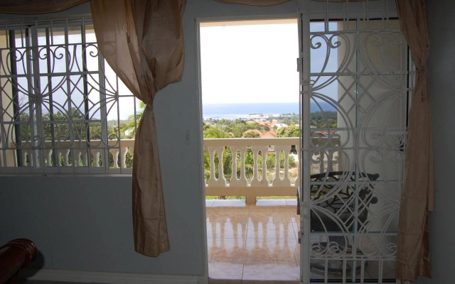 Celebrity Villa Jamaica