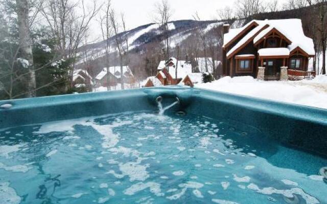 Chalets Alpins - 03 Chemin Blanc