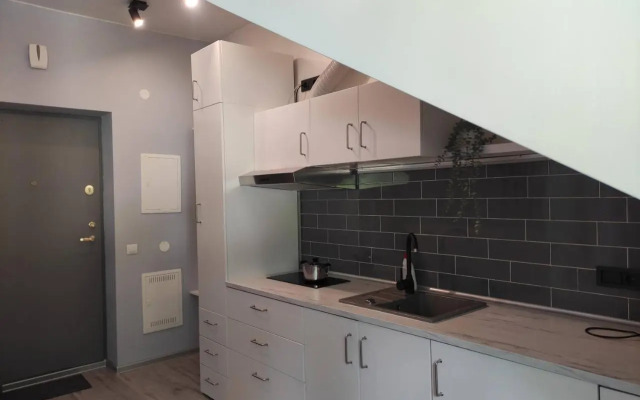 Cosy Apartments in Vilnius Center