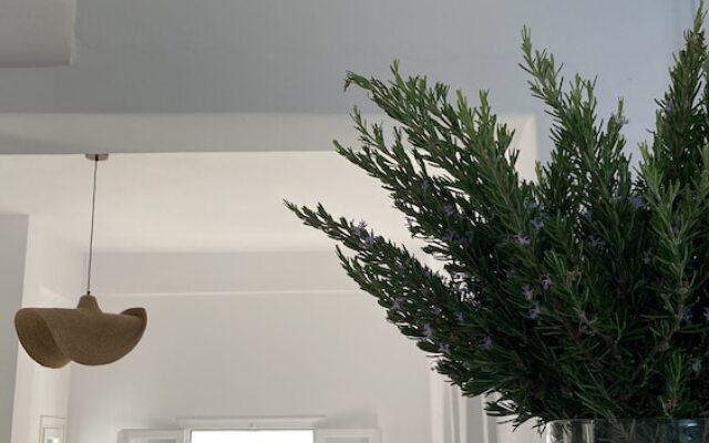 Paros Five Senses