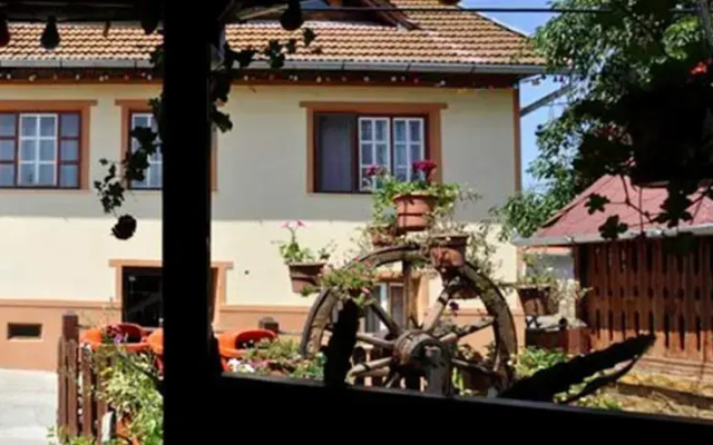 Pensiunea Iancu Salasu de Sus
