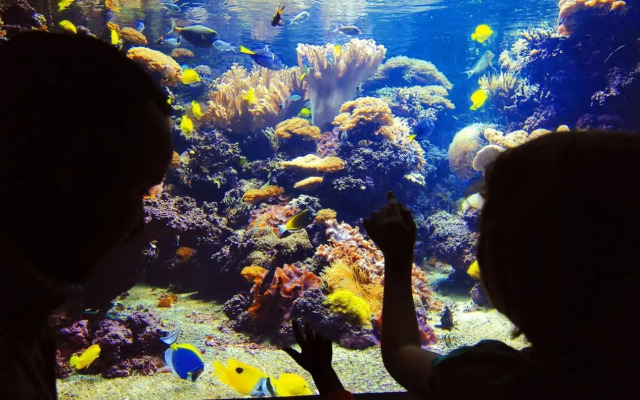 Hampton Inn Baltimore/White Marsh