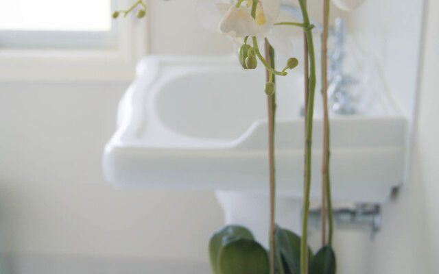 The Heart of Emerald Bed & Breakfast