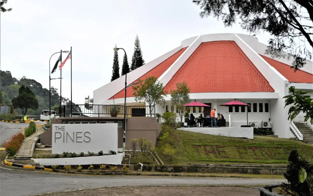 The Pines