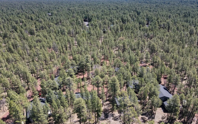 Buck Springs Resort