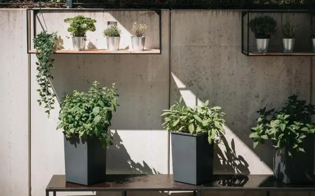 Coffee Fellows Hotel & Longstay