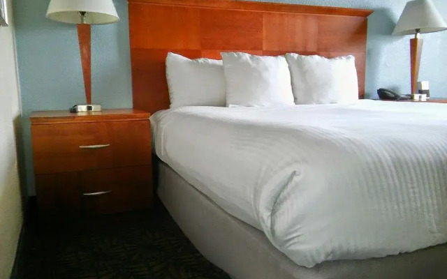 Jack's Tybee Treehouse