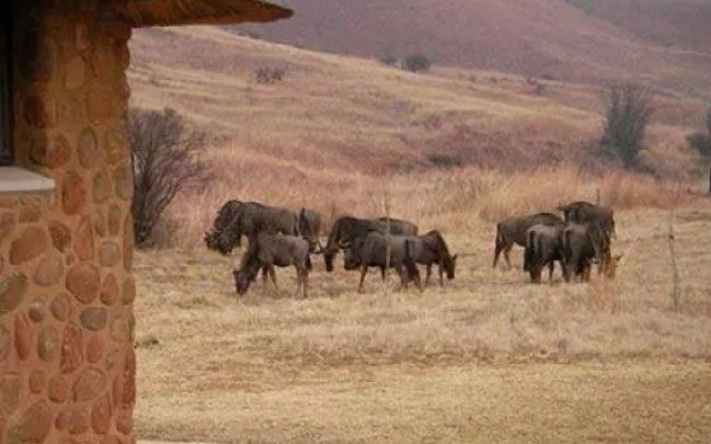 Doornkop Fish and Wildlife Reserve