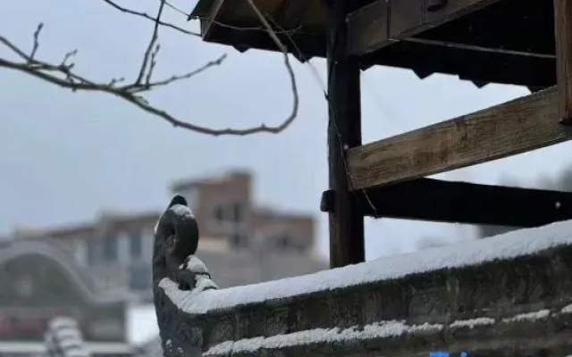 Qiyu Homestay
