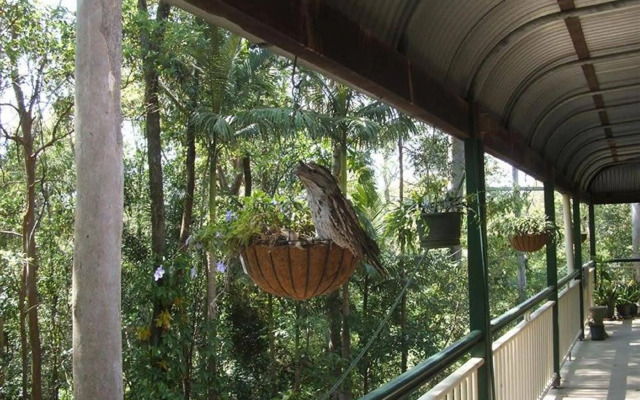Rumbalara Bed and Breakfast