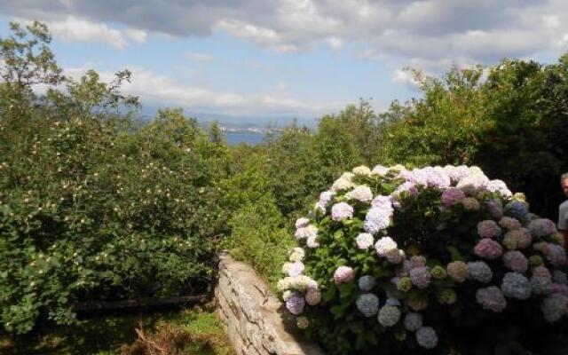 Tranquity Studio Apartment Ika