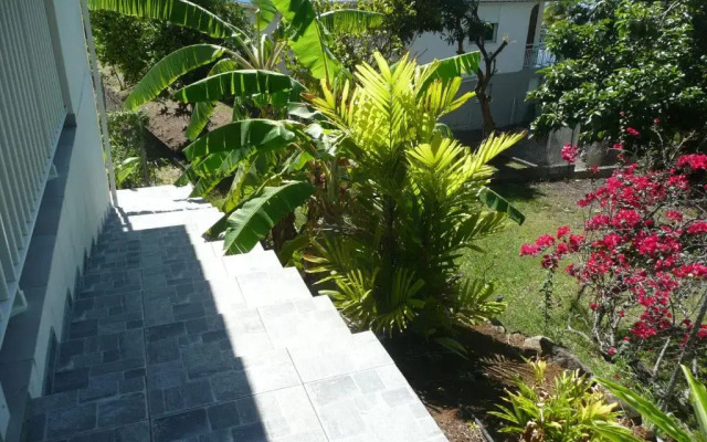 Douceurs Caraïbes, Gîte Balisier.