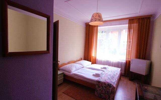 Hotel Bor