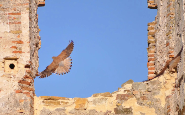 Hotel Convento Tarifa